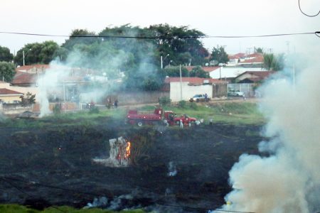 queimadas